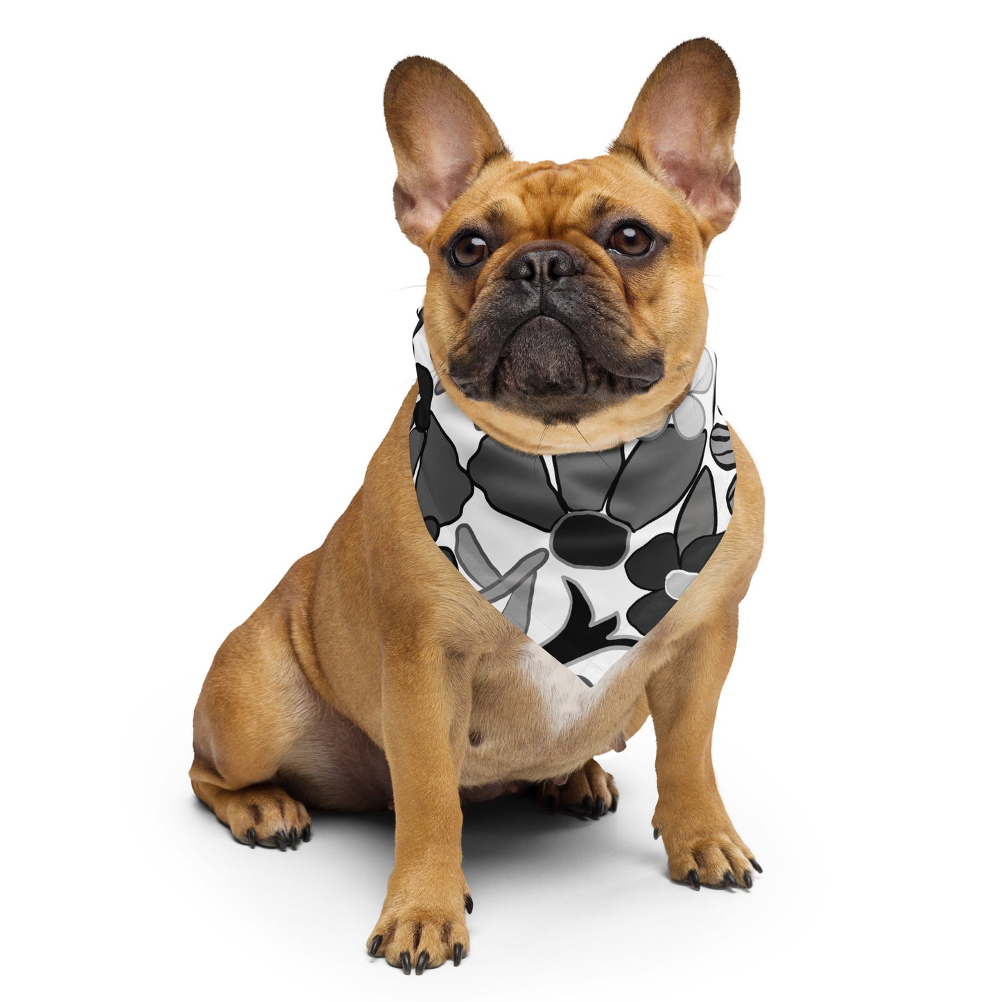 BC Limited Edition Pet/Women bandana