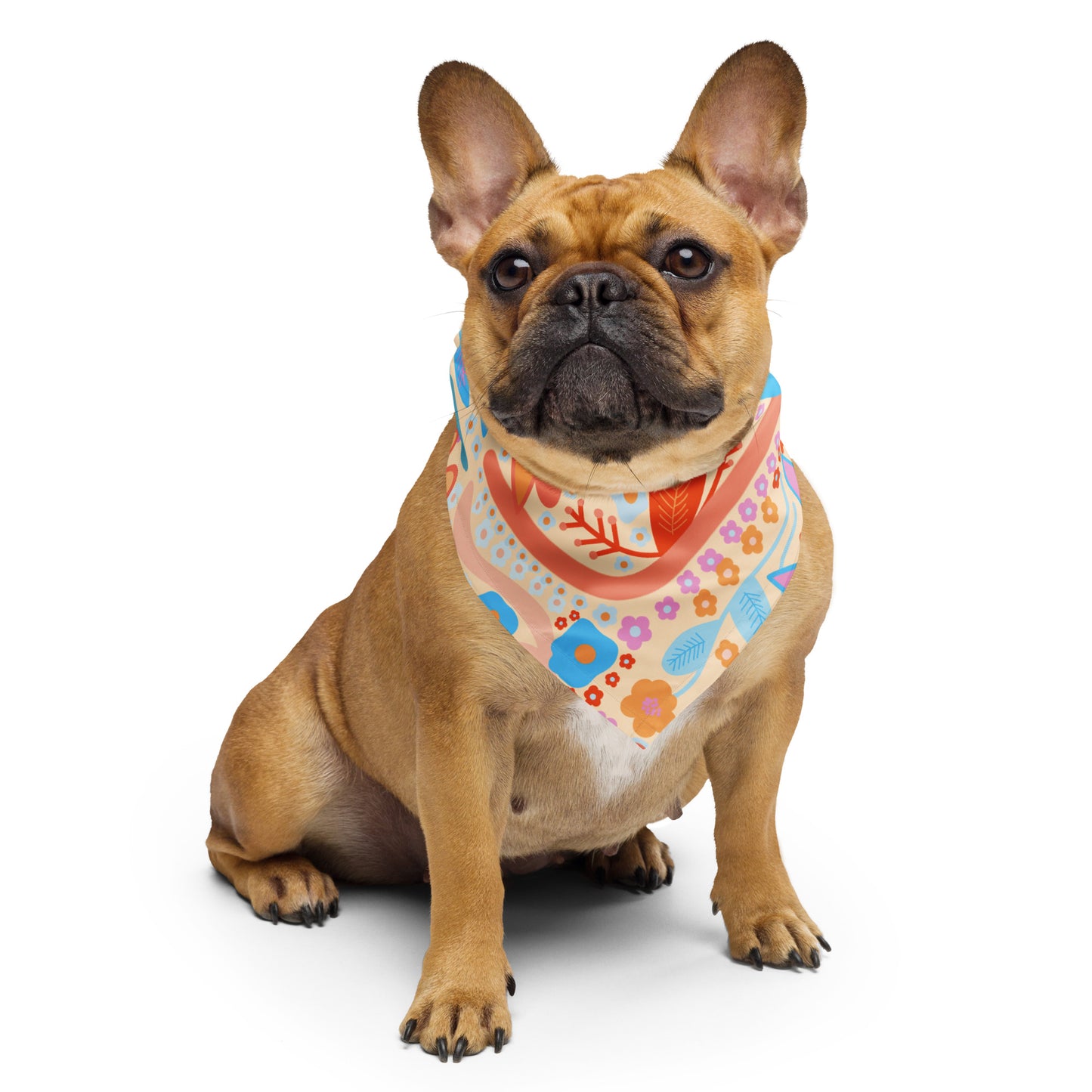 BC Pet/Women bandana