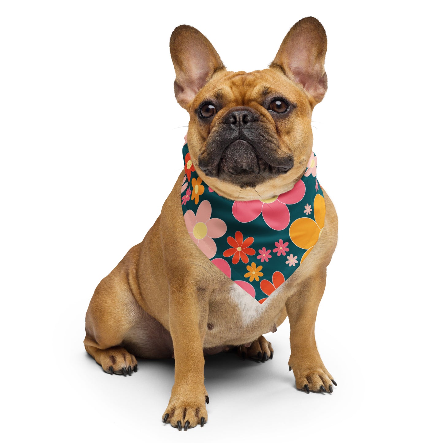 BC Pet/Women bandana