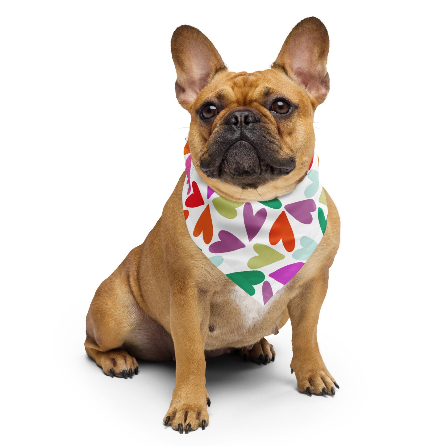 BC Pet/Women bandana