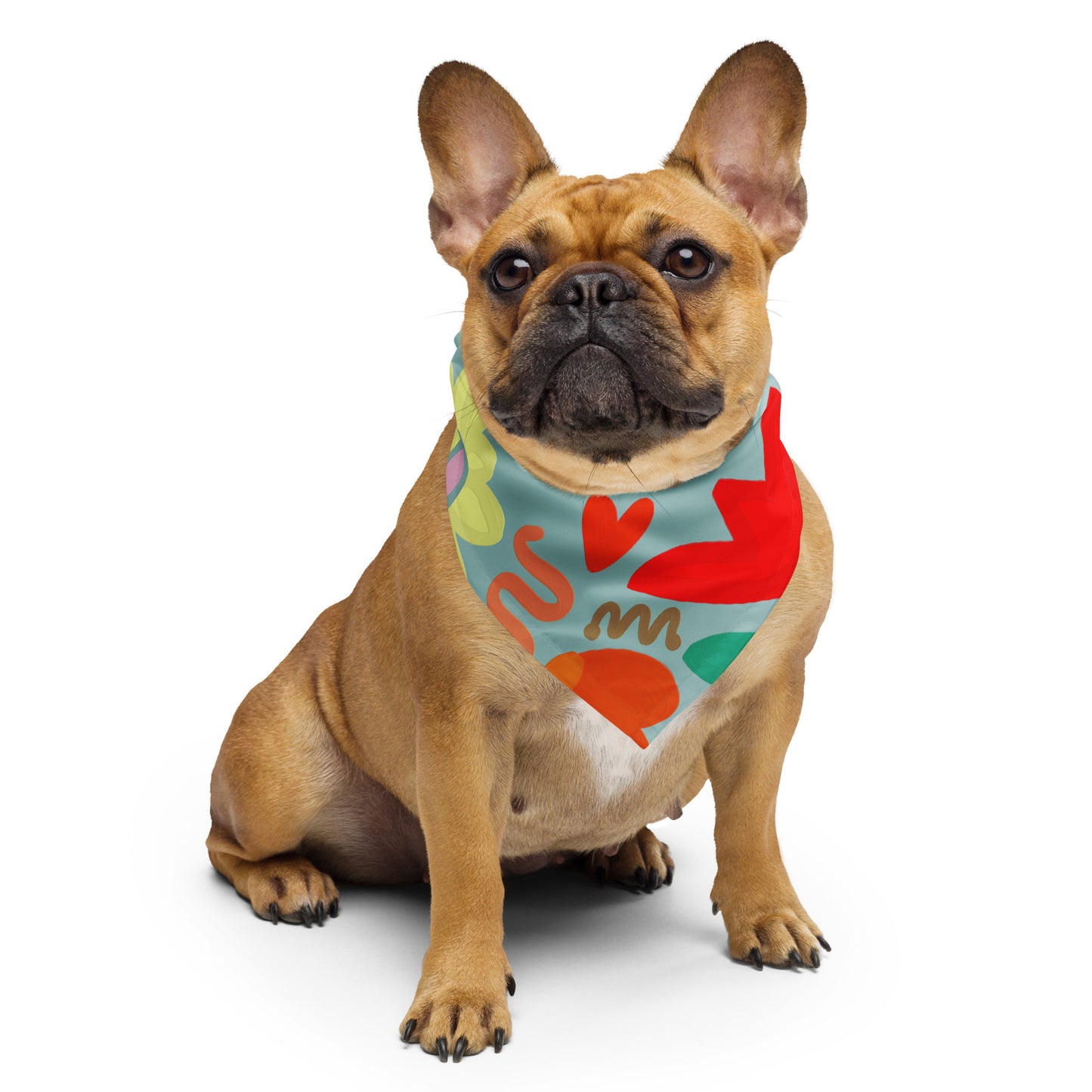 BC Pet/Women bandana